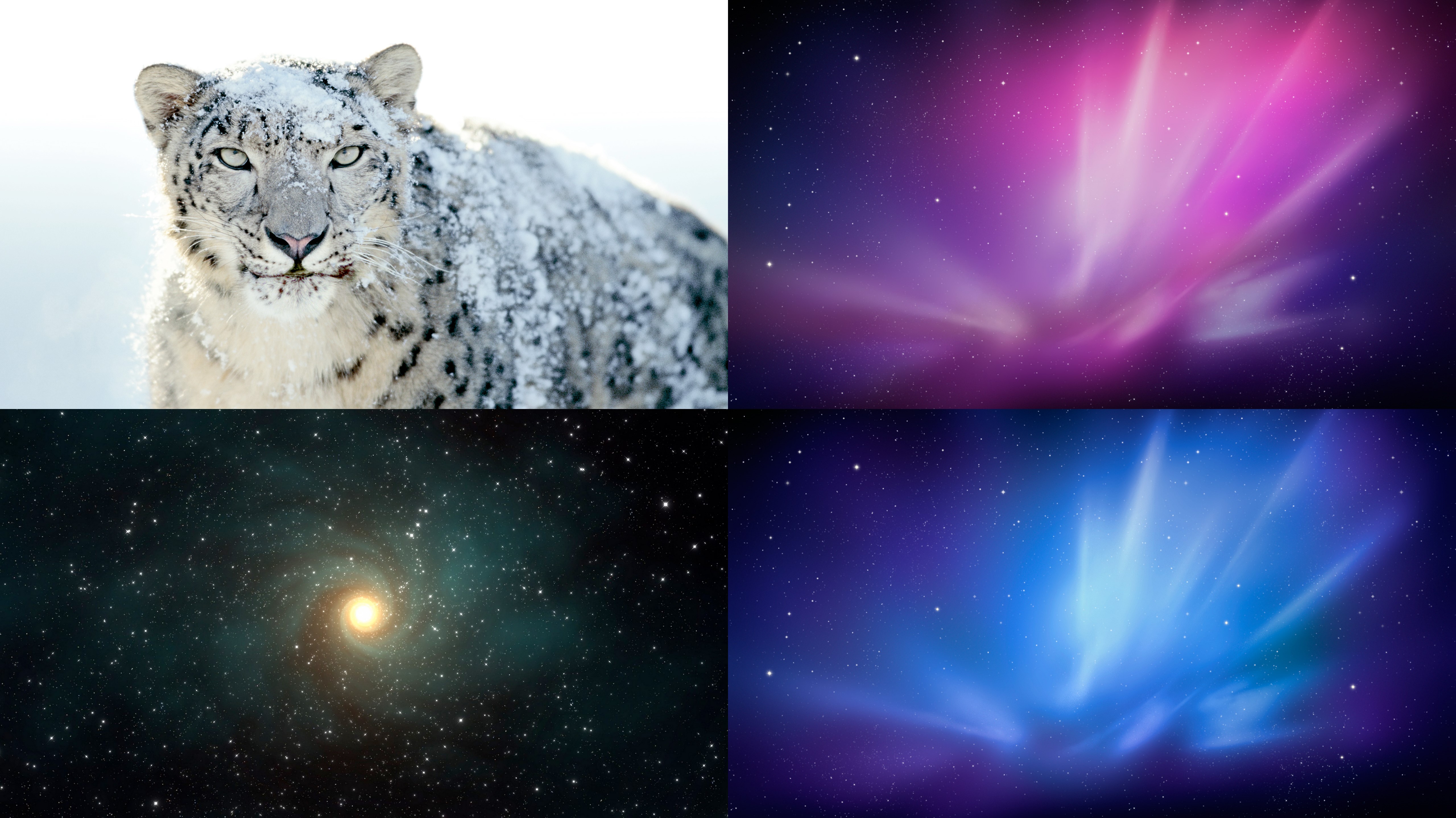 Detail Mac Os Wallpaper Pack Nomer 20