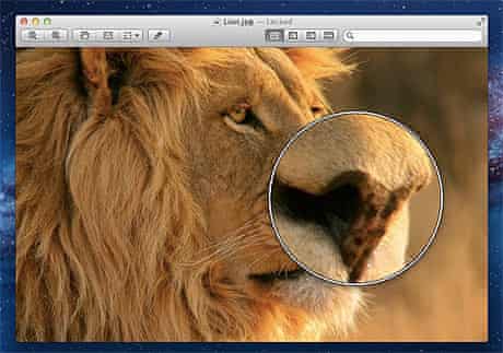 Detail Mac Os X Lion Nomer 51