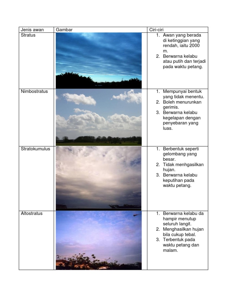 Detail Macam Macam Awan Dan Gambarnya Nomer 31