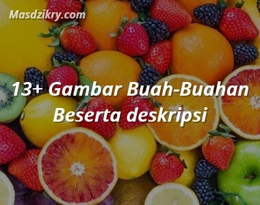 Detail Macam Macam Buah Buahan Dan Gambarnya Nomer 44