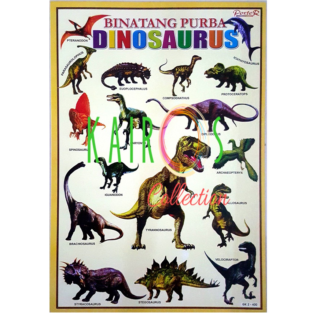 Detail Macam Macam Dinosaurus Dan Gambarnya Nomer 27