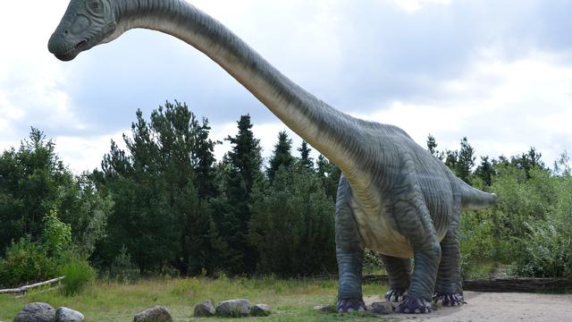 Detail Macam Macam Dinosaurus Dan Gambarnya Nomer 32