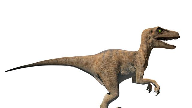 Detail Macam Macam Dinosaurus Dan Gambarnya Nomer 40