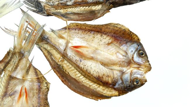 Macam Macam Ikan Asin Dan Gambarnya - KibrisPDR