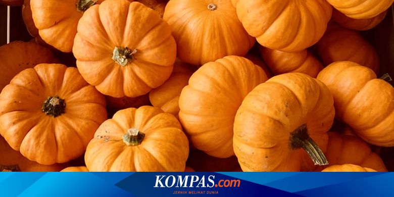 Detail Macam Macam Labu Dan Gambarnya Nomer 14