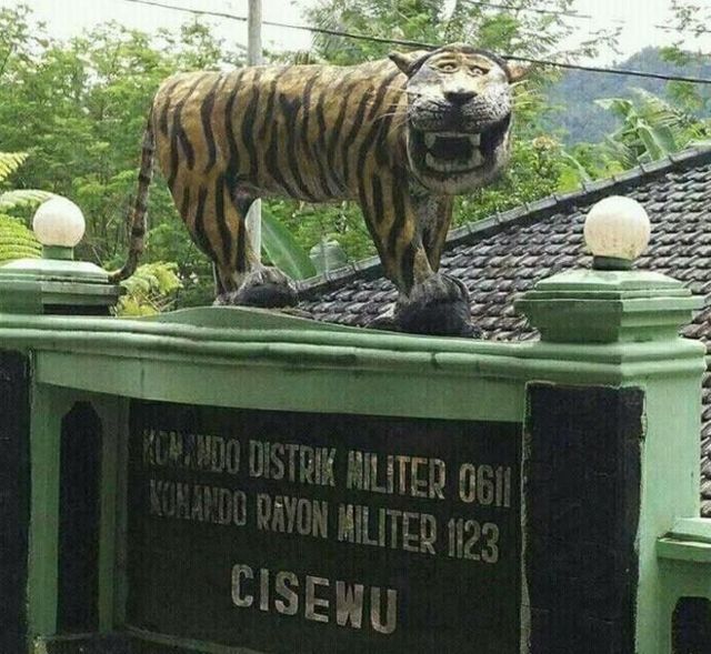 Detail Macan Cisewu Meme Nomer 2