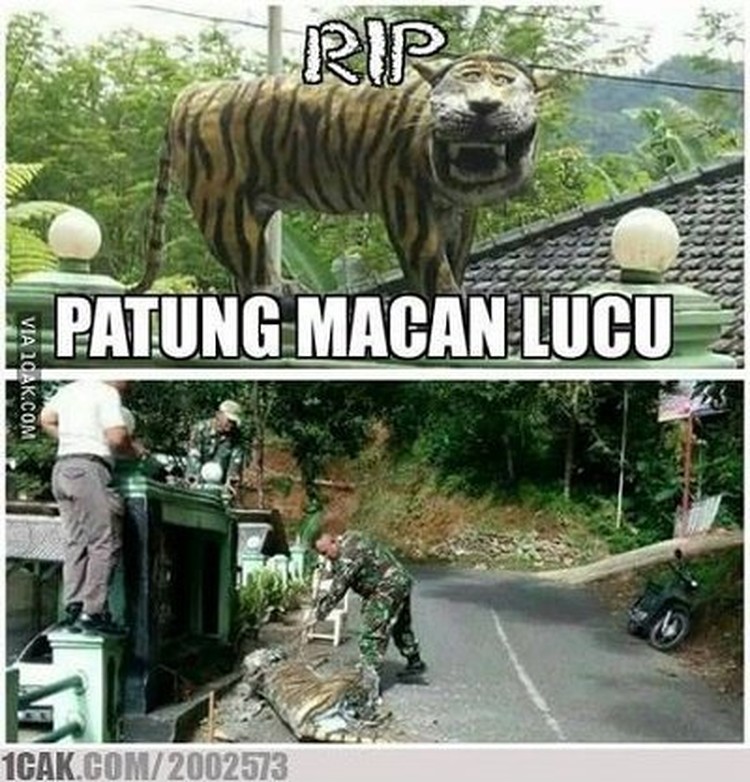 Detail Macan Cisewu Meme Nomer 11