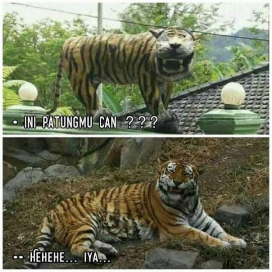 Detail Macan Cisewu Meme Nomer 12