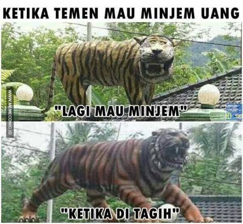 Detail Macan Cisewu Meme Nomer 13