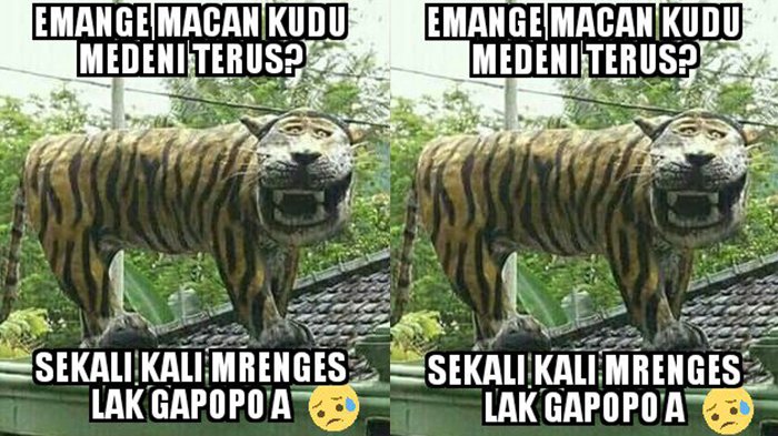 Detail Macan Cisewu Meme Nomer 20