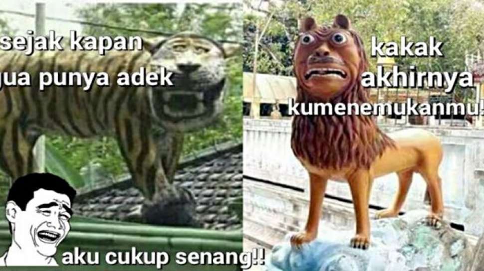 Detail Macan Cisewu Meme Nomer 4