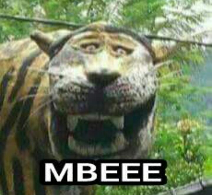 Detail Macan Cisewu Meme Nomer 28
