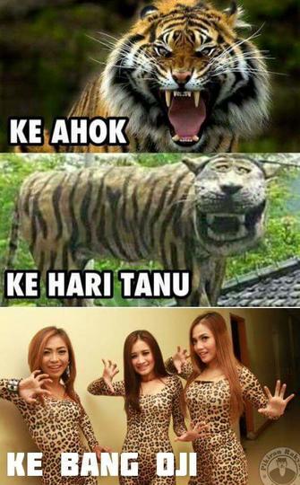 Detail Macan Cisewu Meme Nomer 32