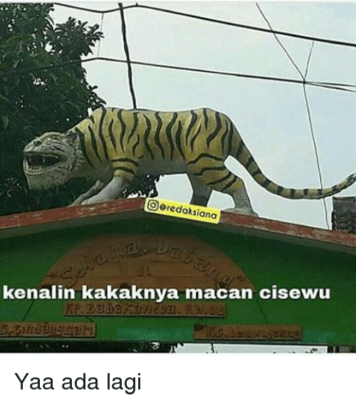 Detail Macan Cisewu Meme Nomer 44