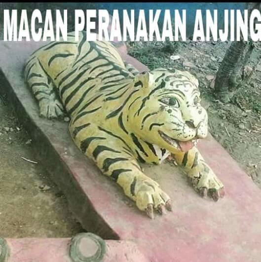 Detail Macan Cisewu Meme Nomer 46