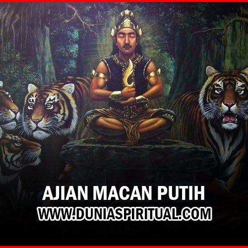 Detail Macan Vs Serigala Nomer 31