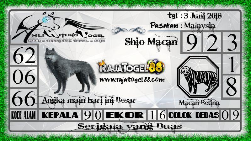 Detail Macan Vs Serigala Nomer 44