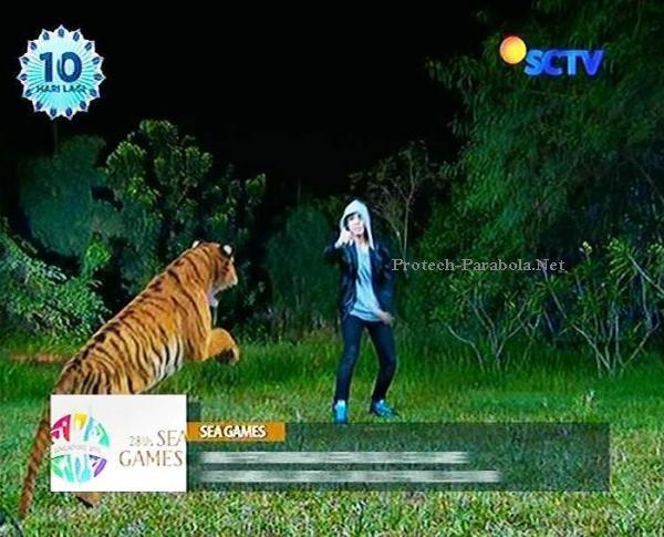 Detail Macan Vs Serigala Nomer 45