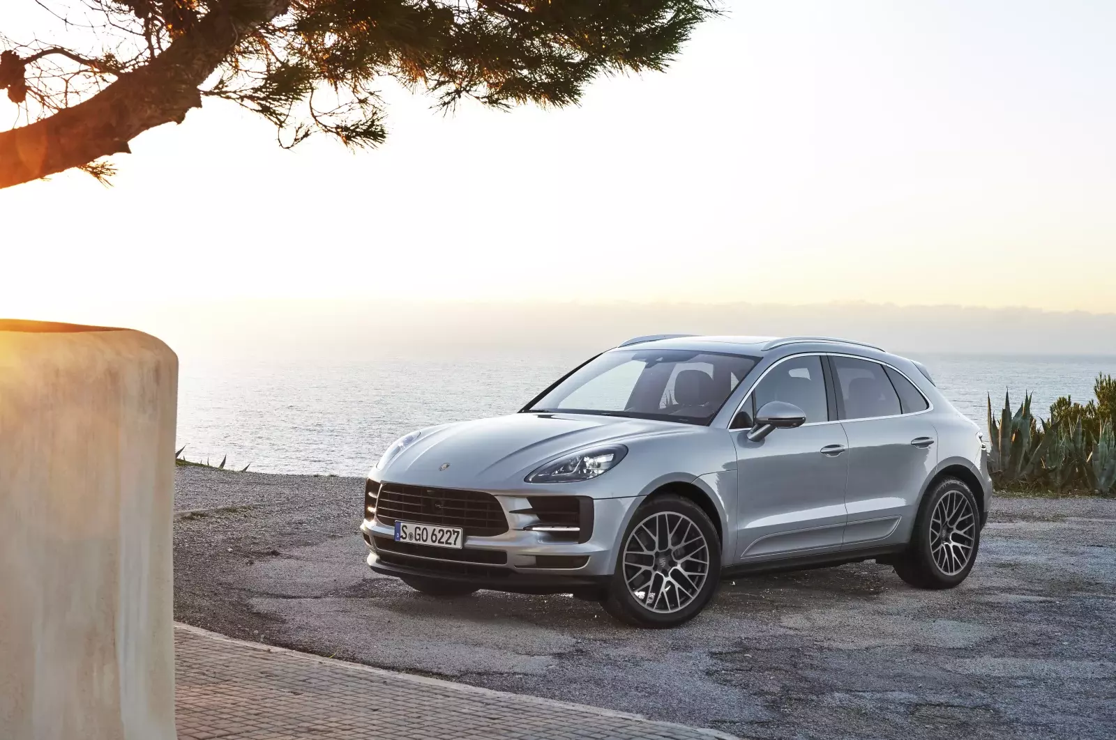 Detail Macan Wallpaper Nomer 38