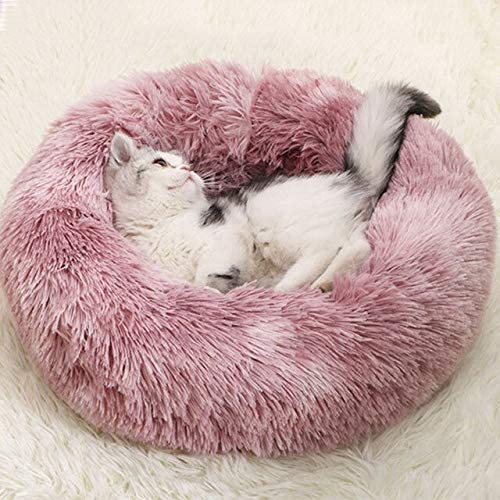 Detail Macaron Cat Bed Nomer 21