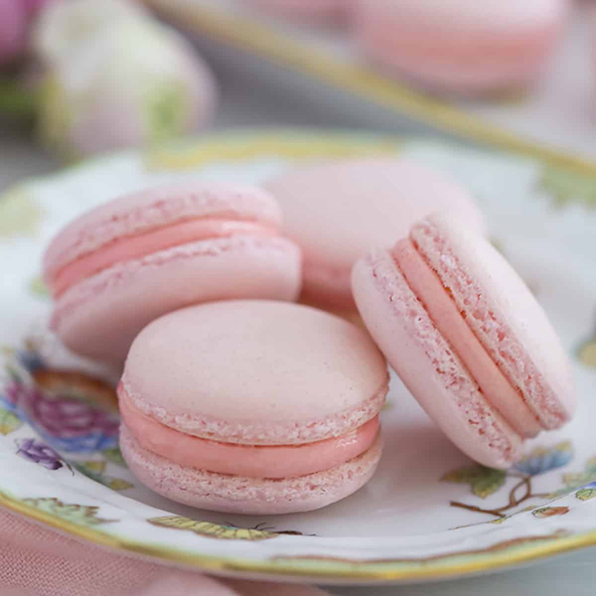 Detail Macaron Pictures Nomer 12