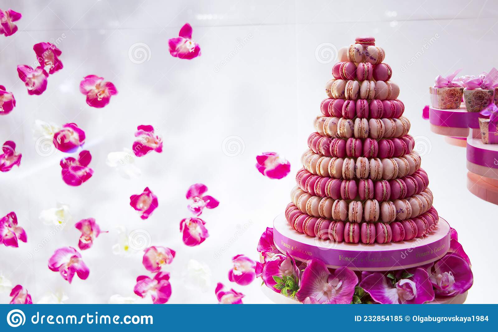 Detail Macaron Pyramid Nomer 43