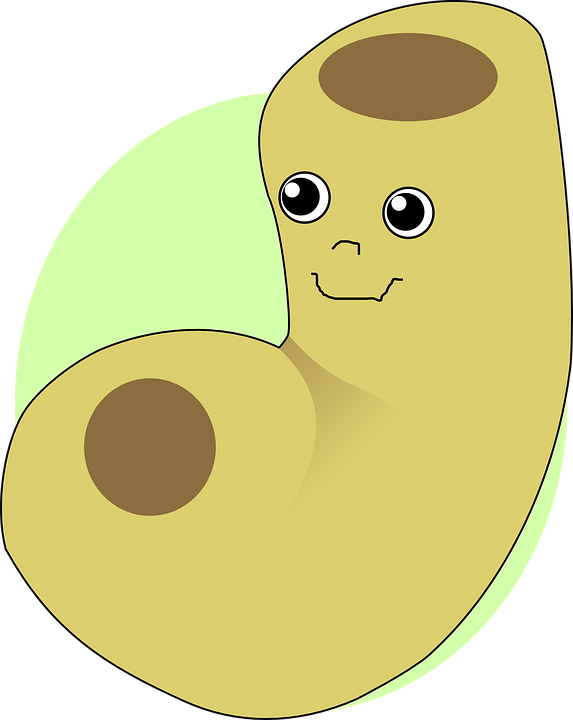 Detail Macaroni Vector Png Nomer 36