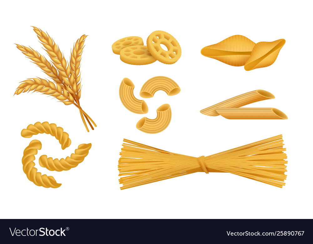 Detail Macaroni Vector Png Nomer 41