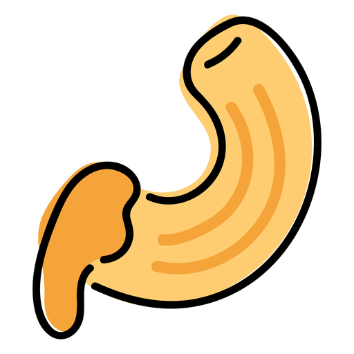 Detail Macaroni Vector Png Nomer 42