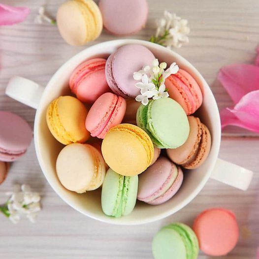 Detail Macarons Knoxville Nomer 23