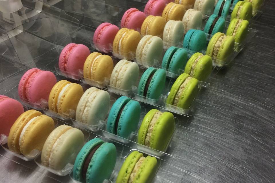 Detail Macarons Knoxville Nomer 31