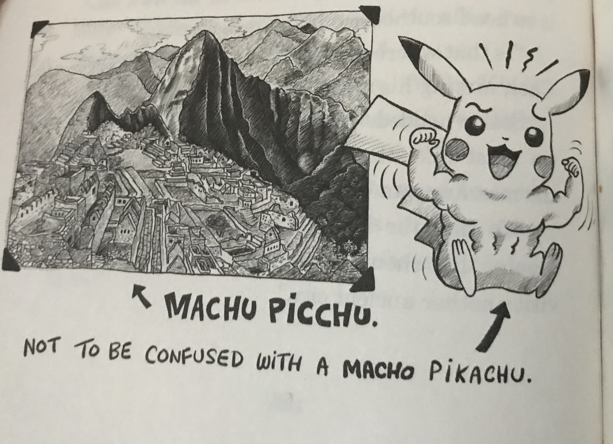 Detail Machu Picchu Meme Nomer 29