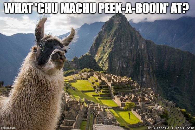 Detail Machu Picchu Meme Nomer 7