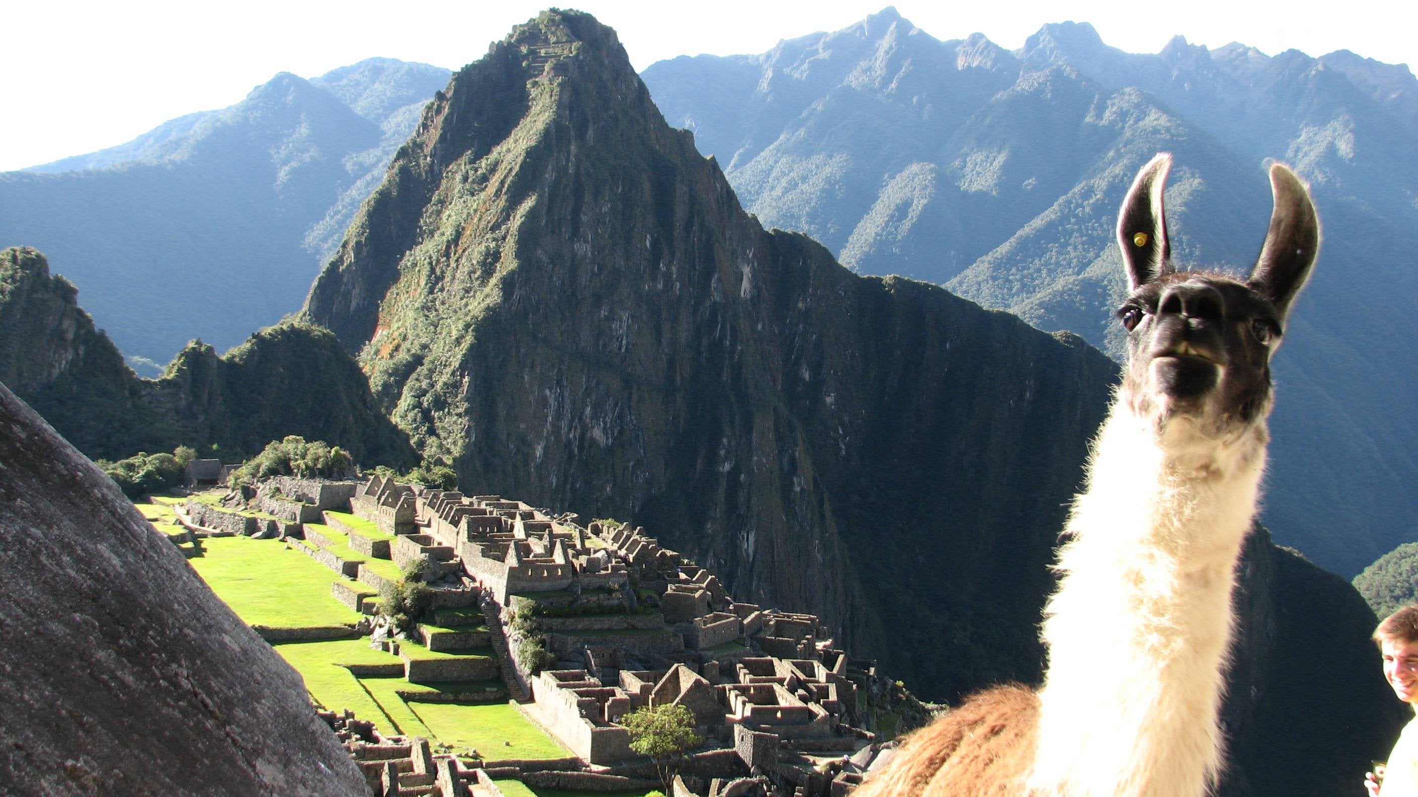 Detail Machu Picchu Meme Nomer 9