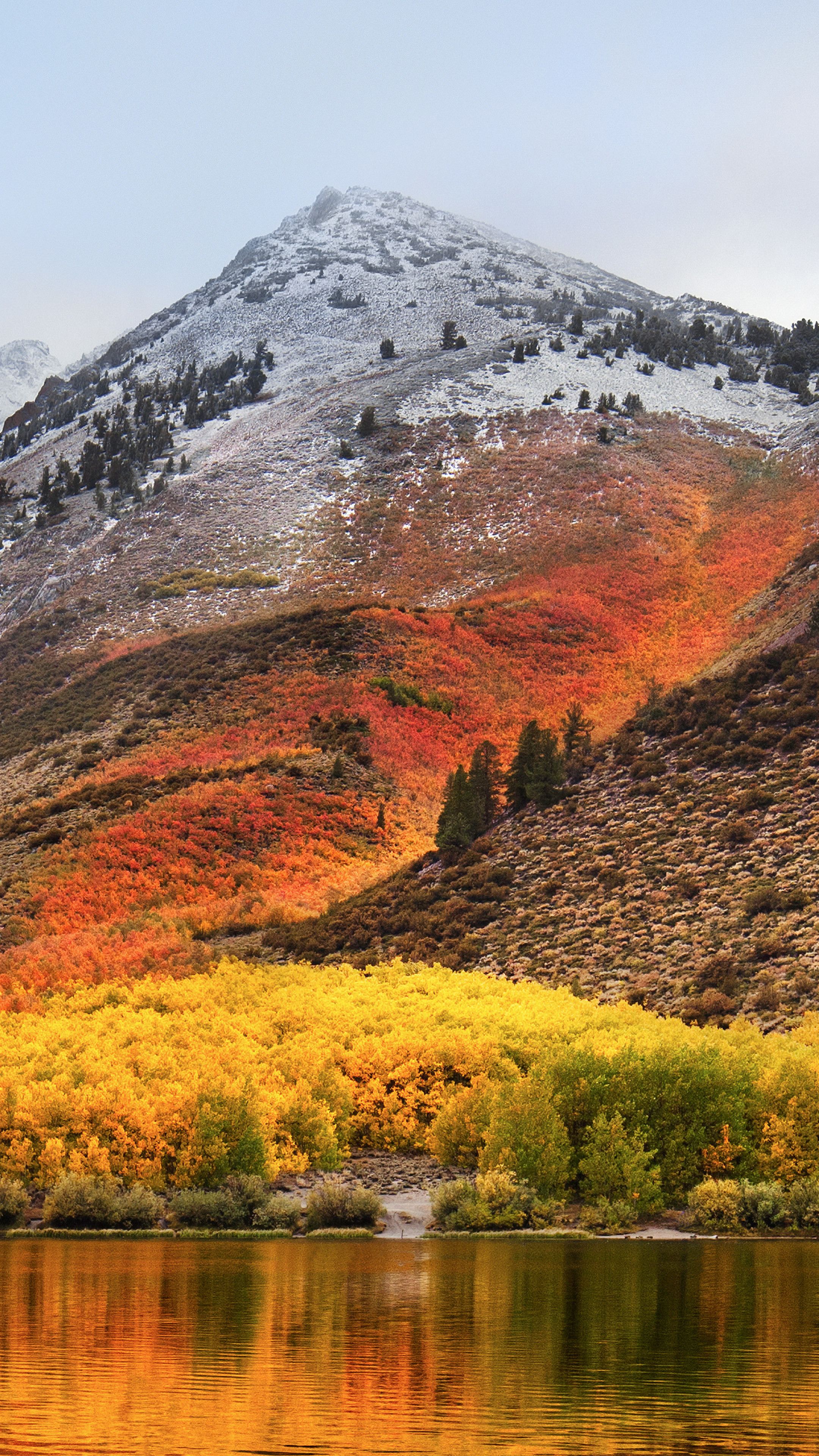 Detail Macos High Sierra Wallpaper Nomer 6