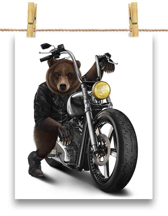 Detail Madagascar 3 Bear On Motorcycle Nomer 18