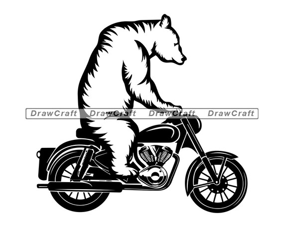 Detail Madagascar 3 Bear On Motorcycle Nomer 19