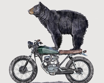 Detail Madagascar 3 Bear On Motorcycle Nomer 21