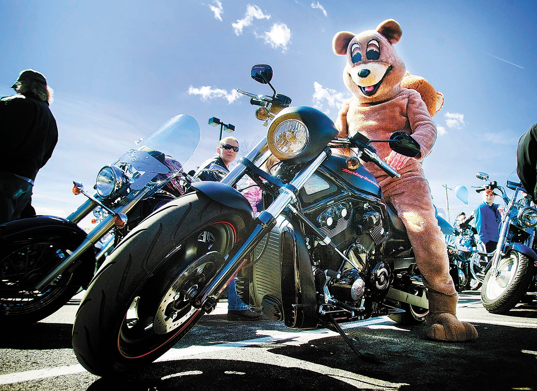 Detail Madagascar 3 Bear On Motorcycle Nomer 22