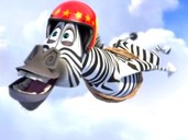 Detail Madagascar 3 Bear On Motorcycle Nomer 48