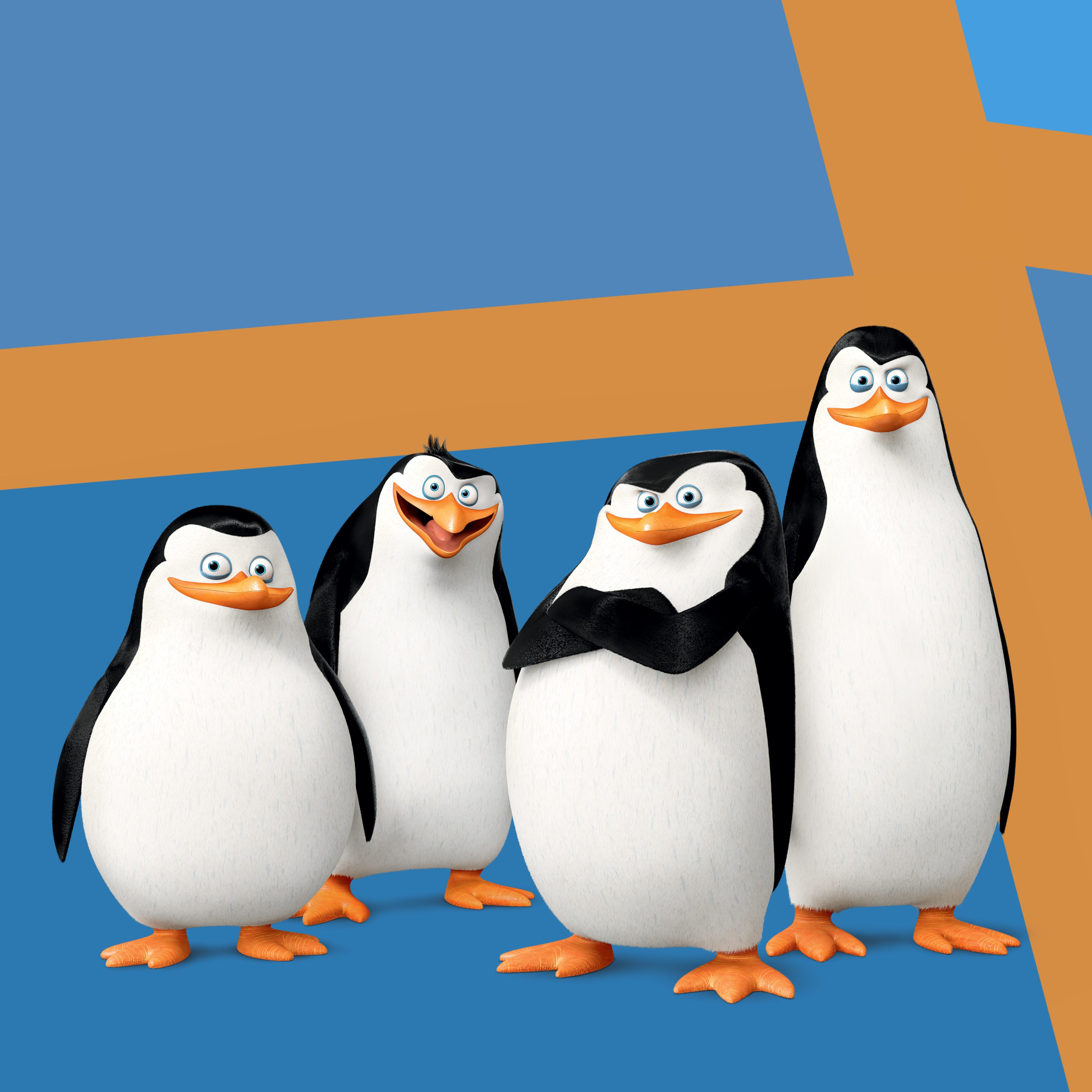 Detail Madagascar Penguins Nomer 3