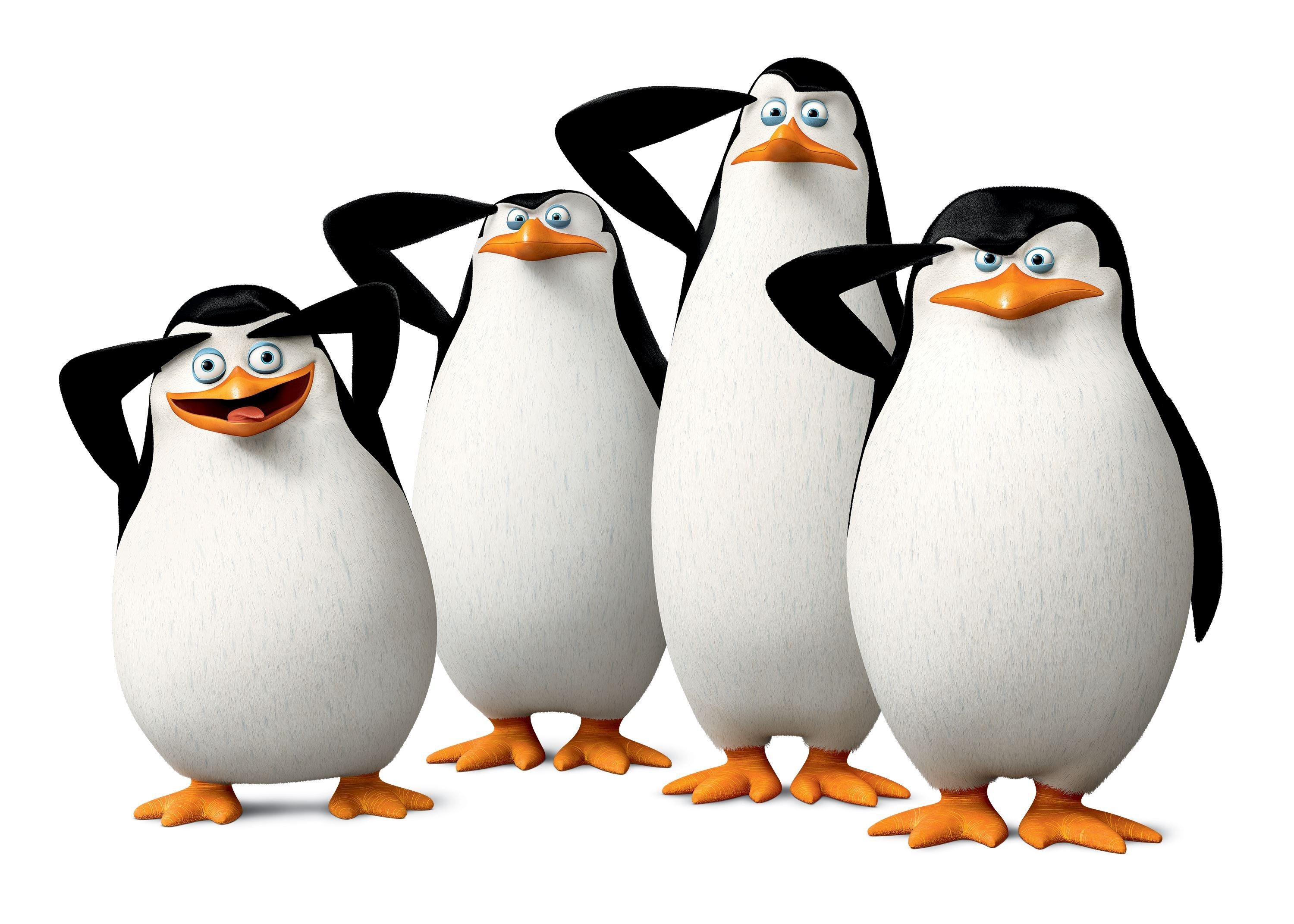 Detail Madagascar Pinguins Nomer 14