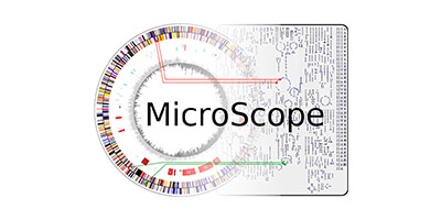 Detail Mage Microscope Nomer 16