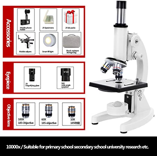 Detail Mage Microscope Nomer 43