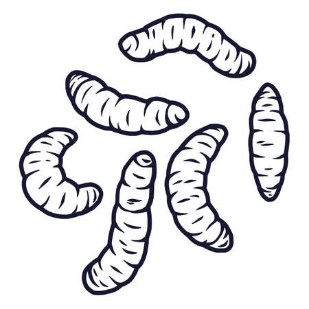 Maggot Clipart - KibrisPDR