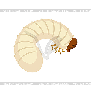 Detail Maggot Clipart Nomer 7