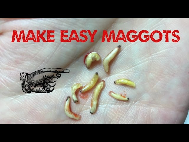 Detail Maggots Image Nomer 43