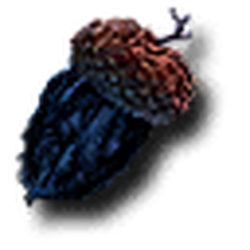 Magic Acorn Witcher - KibrisPDR