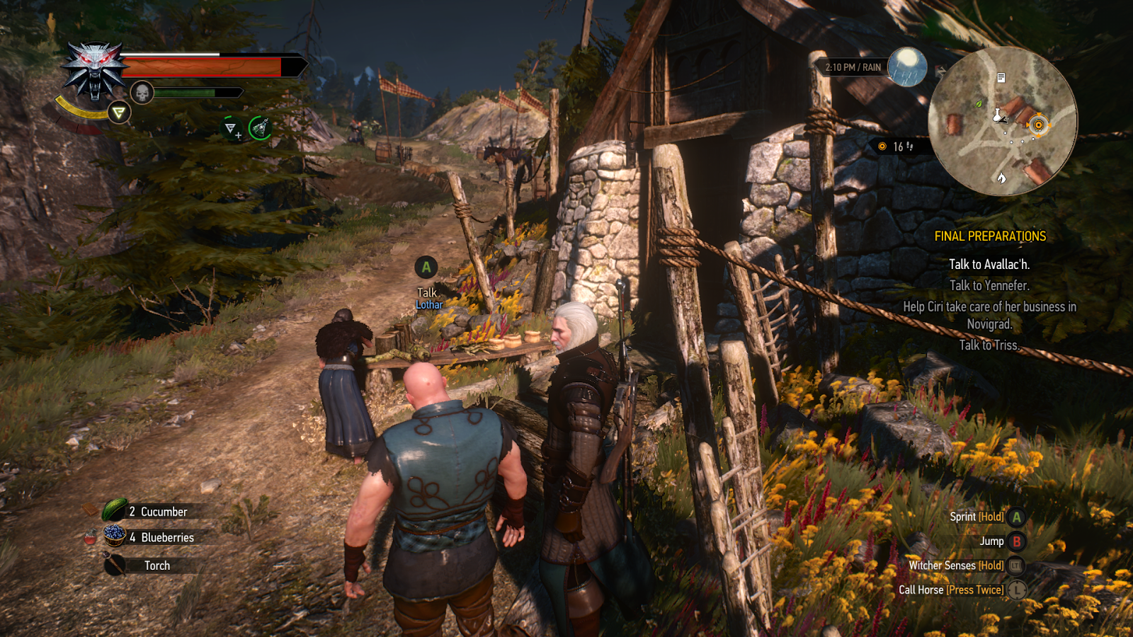 Detail Magic Acorn Witcher 3 Nomer 49