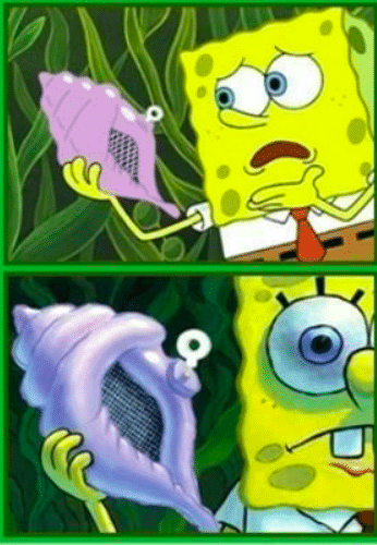 Detail Magic Conch Meme Nomer 20